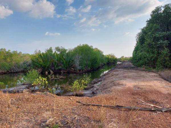 ขายที่ดิน-ติดคลอง-เขาน้อย-อคมบาง-จจันทบุรี-สามารถ-เลี้ยงกุ้ง-เลี้ยงปู-ทำรีสอร์ต-โฮมสเตย์ได้