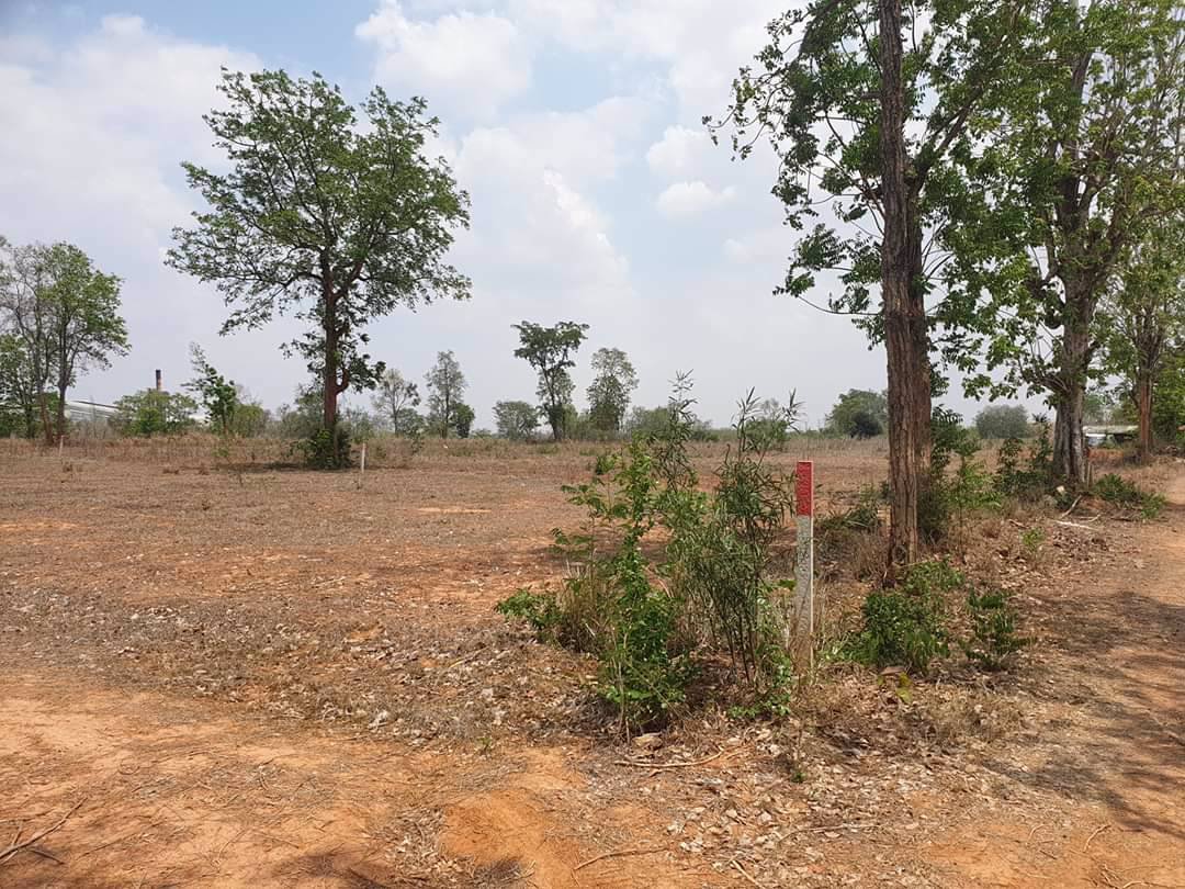 ขายที่ดิน-เปล่า-100ตรวหรือแบ่งขาย-50-ตรว-ตรงข้าม-ศูนย์-ais-โคกกรวด-หรือ-กู้-ธ-ซื้อที่ดินเพื่อสร้า