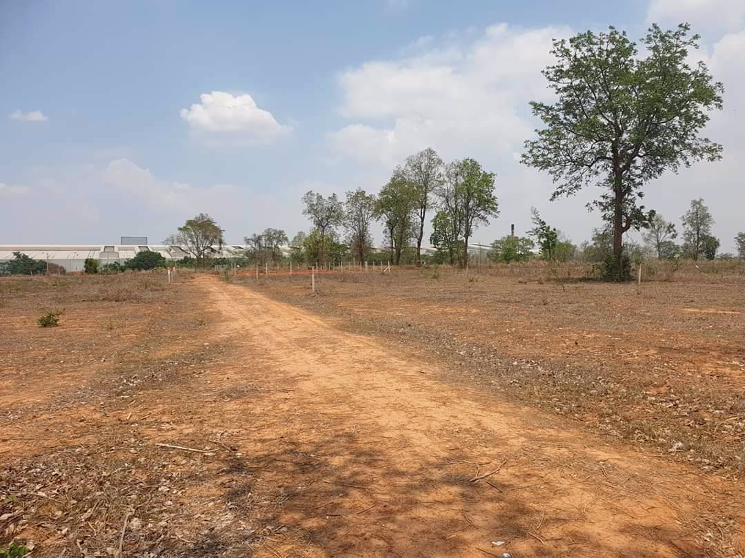 ขายที่ดิน-เปล่า-100ตรวหรือแบ่งขาย-50-ตรว-ตรงข้าม-ศูนย์-ais-โคกกรวด-หรือ-กู้-ธ-ซื้อที่ดินเพื่อสร้า