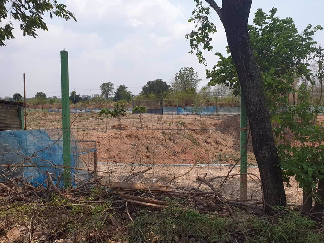 ขายที่ดิน-เปล่า-100ตรวหรือแบ่งขาย-50-ตรว-ตรงข้าม-ศูนย์-ais-โคกกรวด-หรือ-กู้-ธ-ซื้อที่ดินเพื่อสร้า