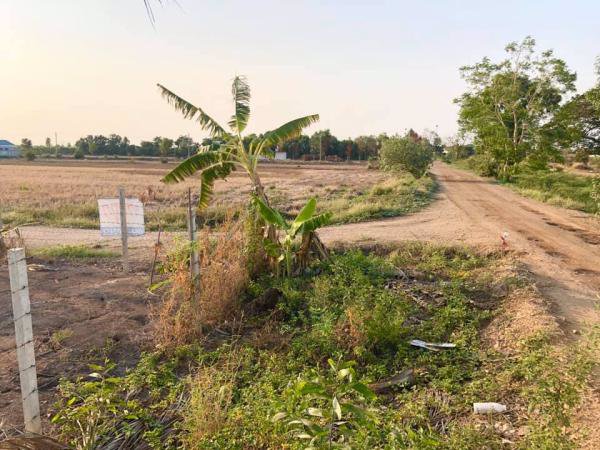 ขายด่วน-ที่ดินแปลงสวย-ราคาถูก-หน้ากว้างติดมุมถนน-2ด้าน-จำนวน-4ไร่-สามารถแบ่งซื้อได้-ทำเลดี-คลองหลวง