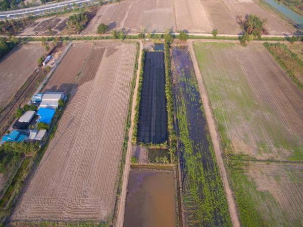 ขายด่วน-ที่ดินแปลงสวย-ราคาถูก-หน้ากว้างติดมุมถนน-2ด้าน-จำนวน-4ไร่-สามารถแบ่งซื้อได้-ทำเลดี-คลองหลวง