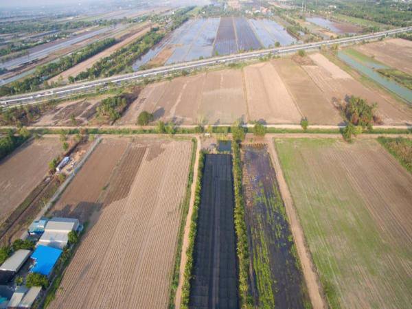 ขายด่วน-ที่ดินแปลงสวย-ราคาถูก-หน้ากว้างติดมุมถนน-2ด้าน-จำนวน-4ไร่-สามารถแบ่งซื้อได้-ทำเลดี-คลองหลวง