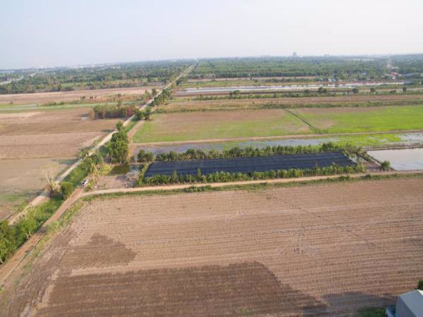 ขายด่วน-ที่ดินแปลงสวย-ราคาถูก-หน้ากว้างติดมุมถนน-2ด้าน-จำนวน-4ไร่-สามารถแบ่งซื้อได้-ทำเลดี-คลองหลวง