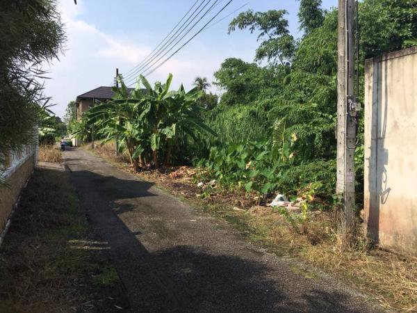 ขายด่วน-ที่ดินเปล่าแปลงสวย-พุทธมณฑลสาย-2-เนื้อที่-197-ตรว-หน้ากว้างติดถนน-40เมตรลึก-20เมตร