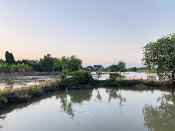 ขายถูกที่ดินติดถนนใหญ่-อสามโคก-ที่ดินสวยมาก-ขนาด-10-3-57-ไร่-มีสิ่งปลูกสร้าง