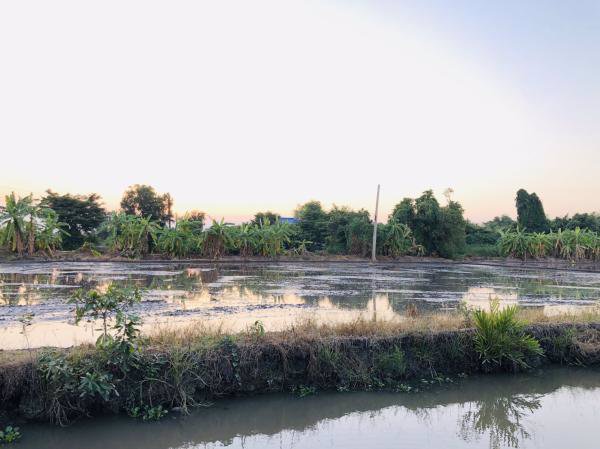 ขายถูกที่ดินติดถนนใหญ่-อสามโคก-ที่ดินสวยมาก-ขนาด-10-3-57-ไร่-มีสิ่งปลูกสร้าง