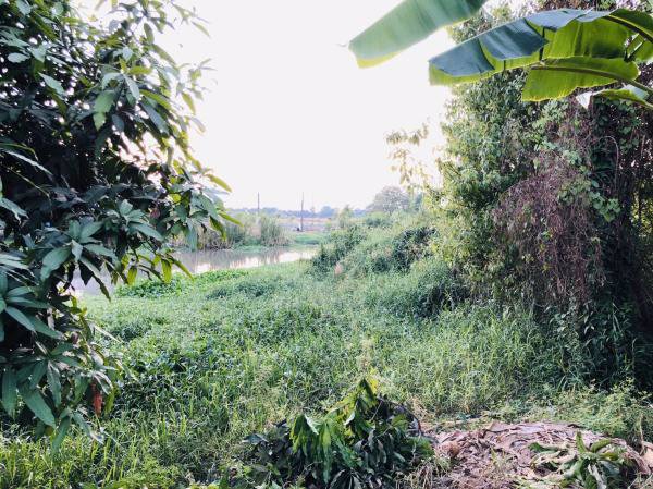 ขายถูกที่ดินติดถนนใหญ่-อสามโคก-ที่ดินสวยมาก-ขนาด-10-3-57-ไร่-มีสิ่งปลูกสร้าง