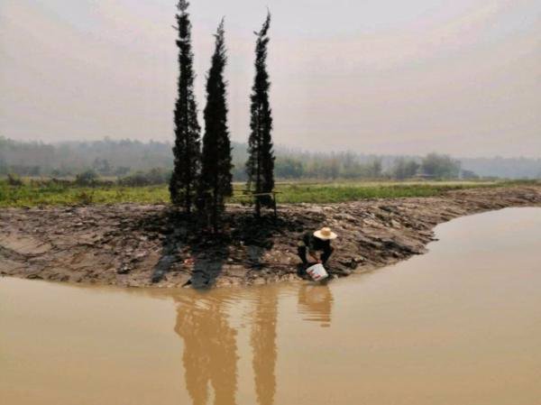 ขายที่ดินแปลงสวย-วิวเขา-ติดน้ำ-แม่แตง-เชียงใหม่-โซนแหล่งท่องเที่ยว-เนื้อที่-41-ไร่-ติดคลองชลประทาน