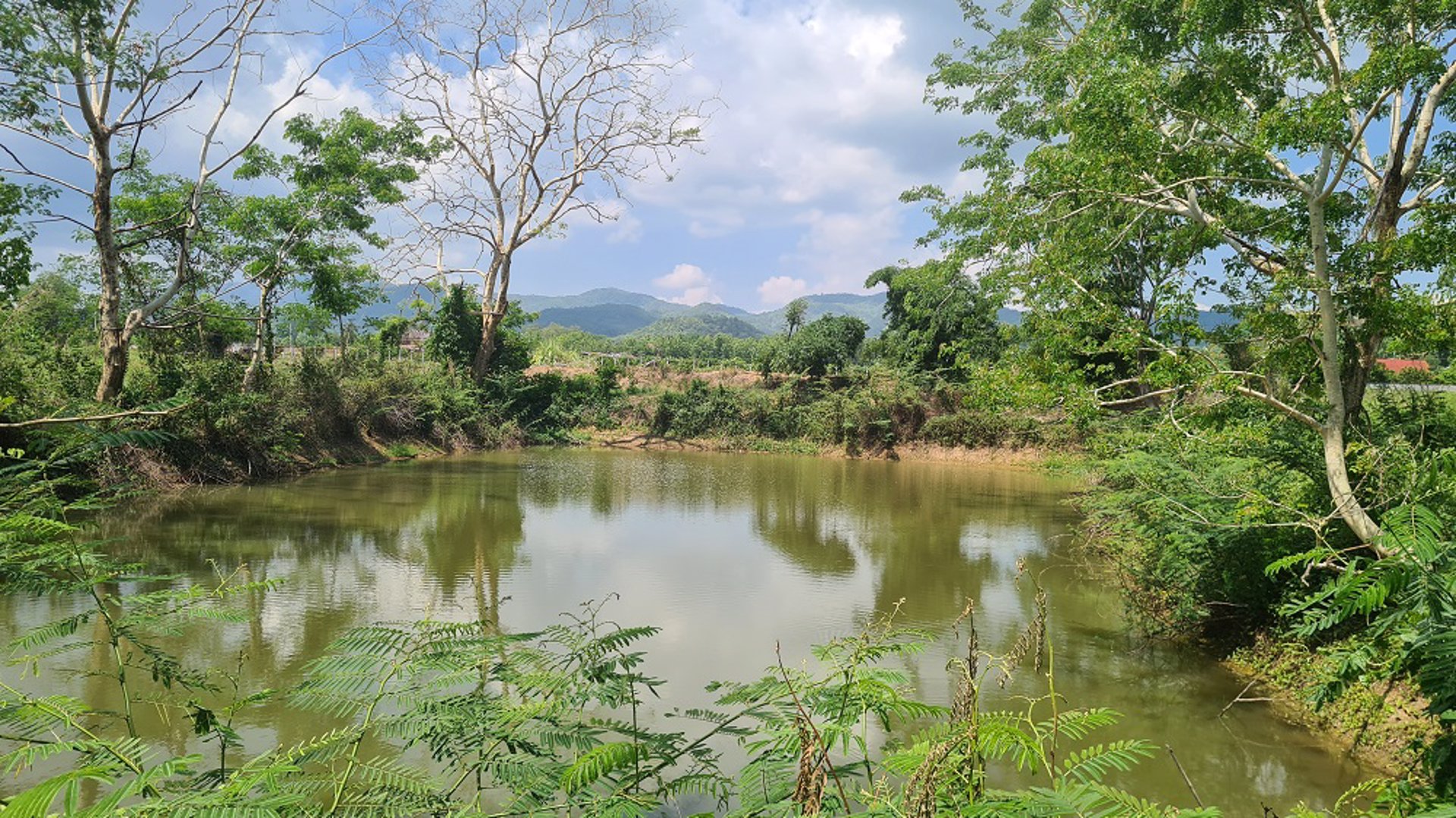 ที่กลางเมือง-อำเภอจุน-เหมาะทำจัดสรร-รีสอร์ท-สวยที่สุดในย่าน-ขายด่วนๆ