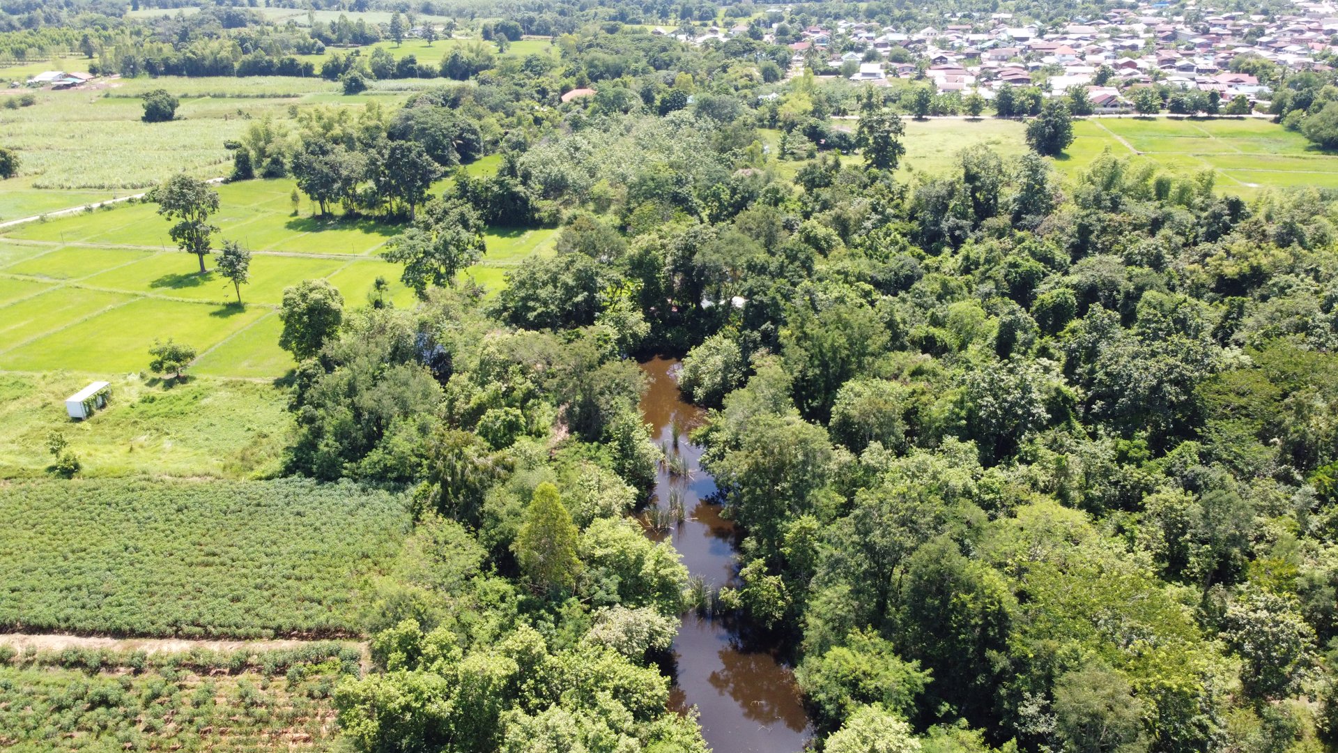 ที่ดิน-21-2-99-ไร่-ในเขตเทศบาลตำบลหนองเรือ-อหนองเรือ-จขอนแก่น-เพียงไร่ละ-15-แสนบาท