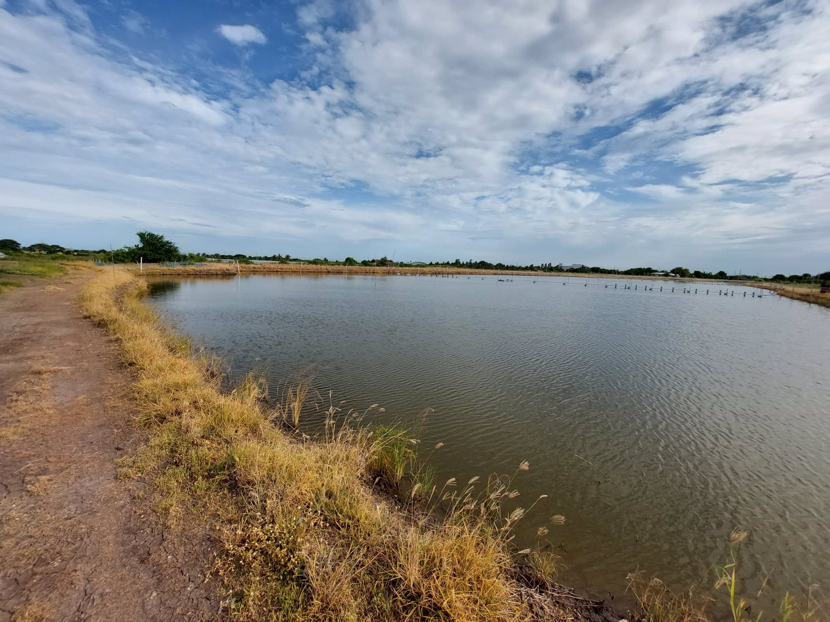 ขายที่ดิน-นครปฐม-8-ไร่-3-งาน-74-ตารางวา