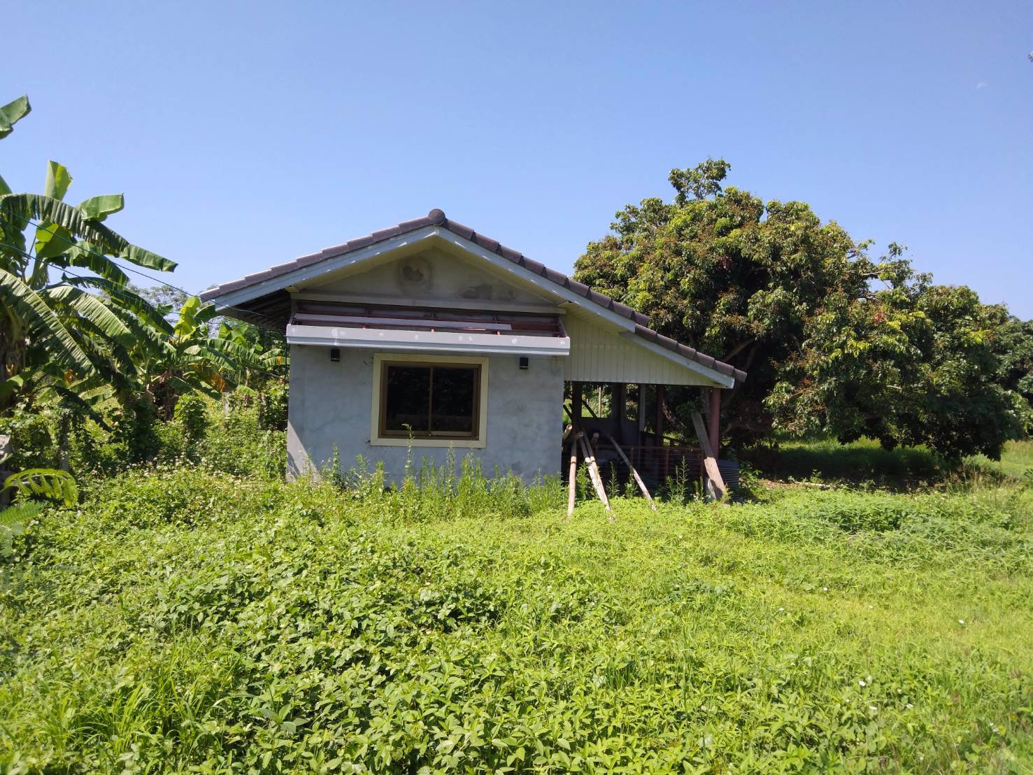 ขายที่ดินราคาไร่ละ-590000-บาท