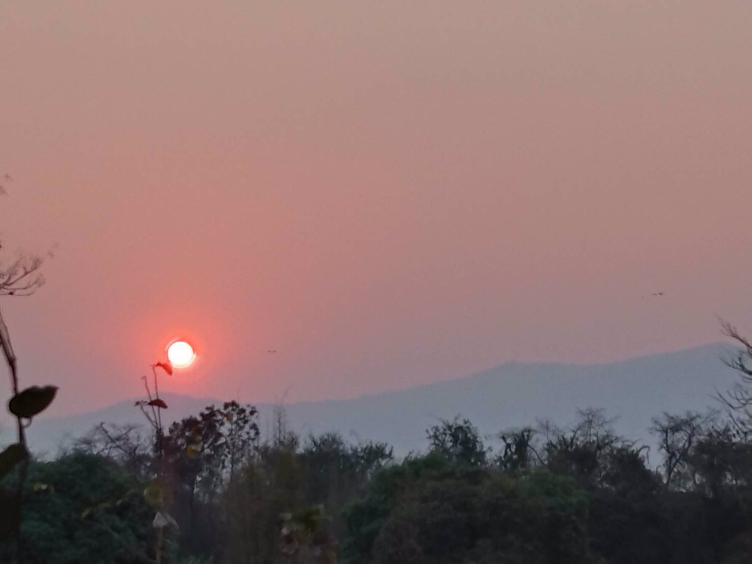 ขายที่ดิน-ติดน้ำปิงหน้าถนนหลักท่าลี่-อป่าซาง