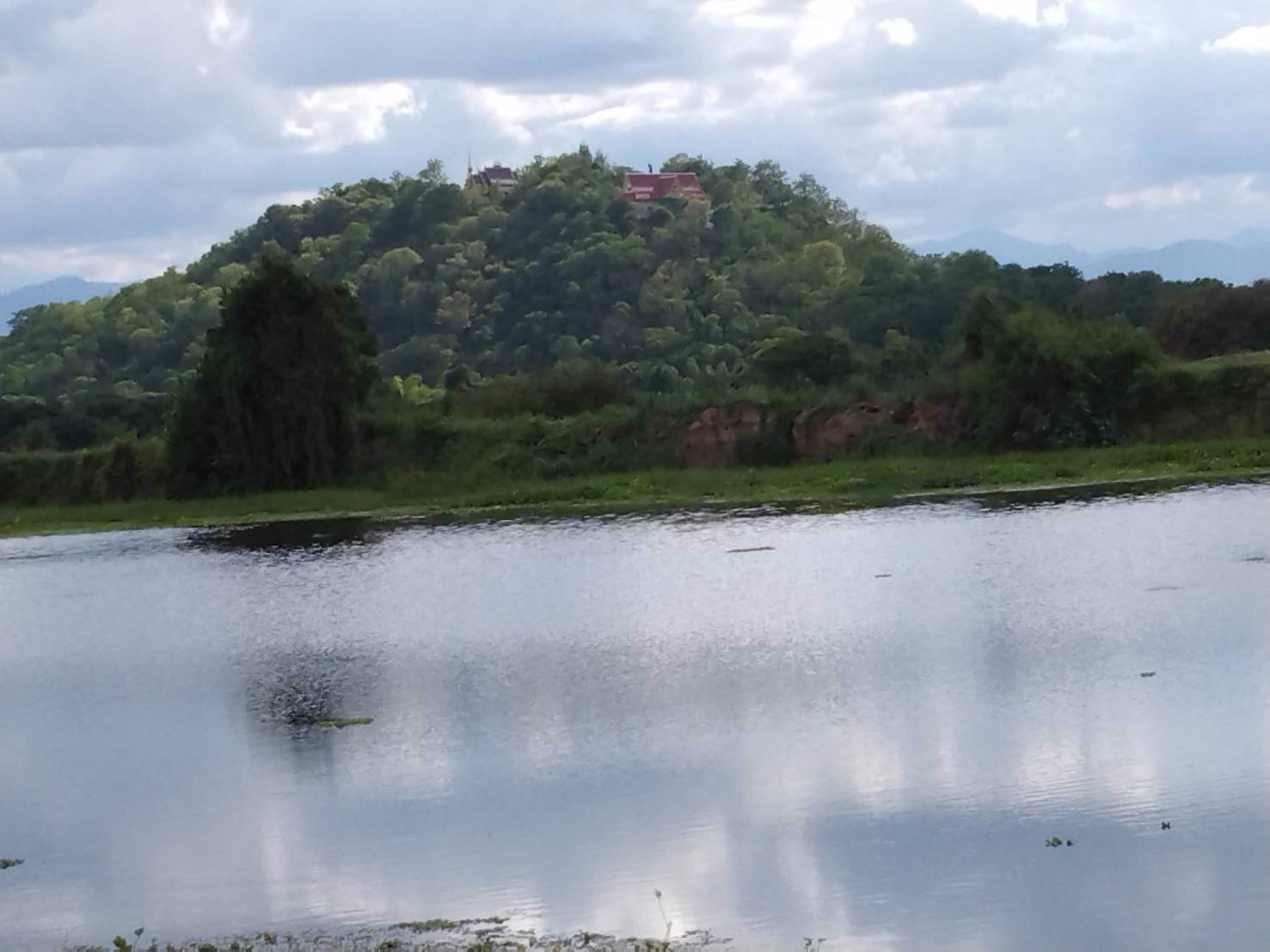 ขายที่ดิน-ติดน้ำปิงหน้าถนนหลักท่าลี่-อป่าซาง