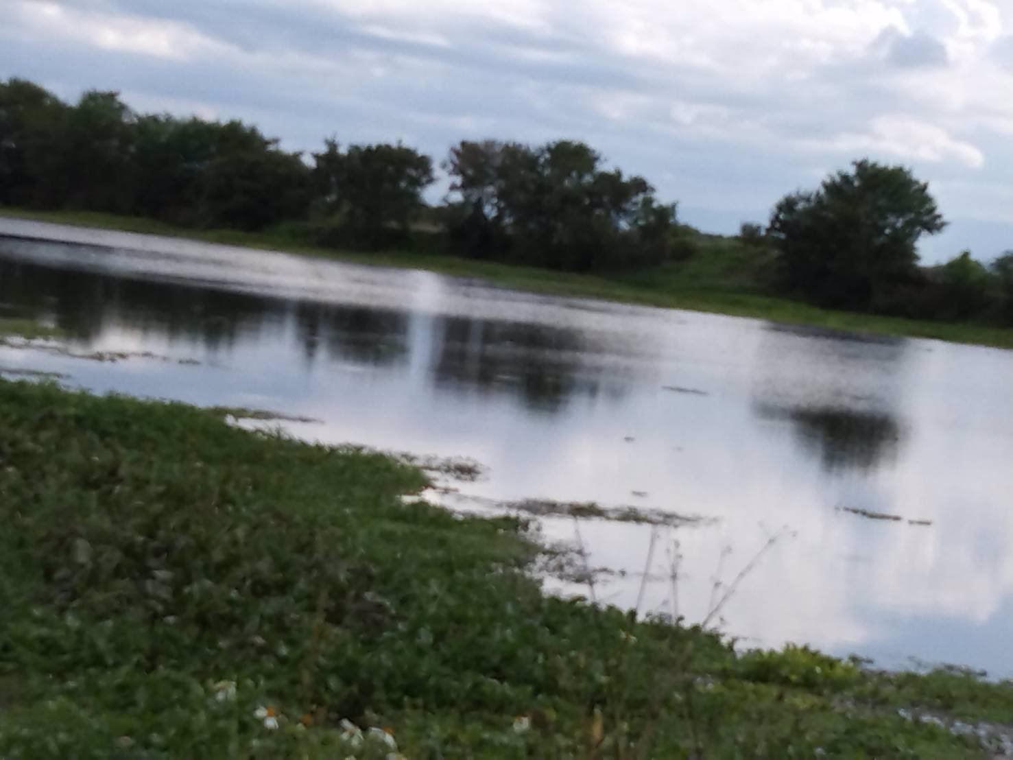 ขายที่ดิน-ติดน้ำปิงหน้าถนนหลักท่าลี่-อป่าซาง