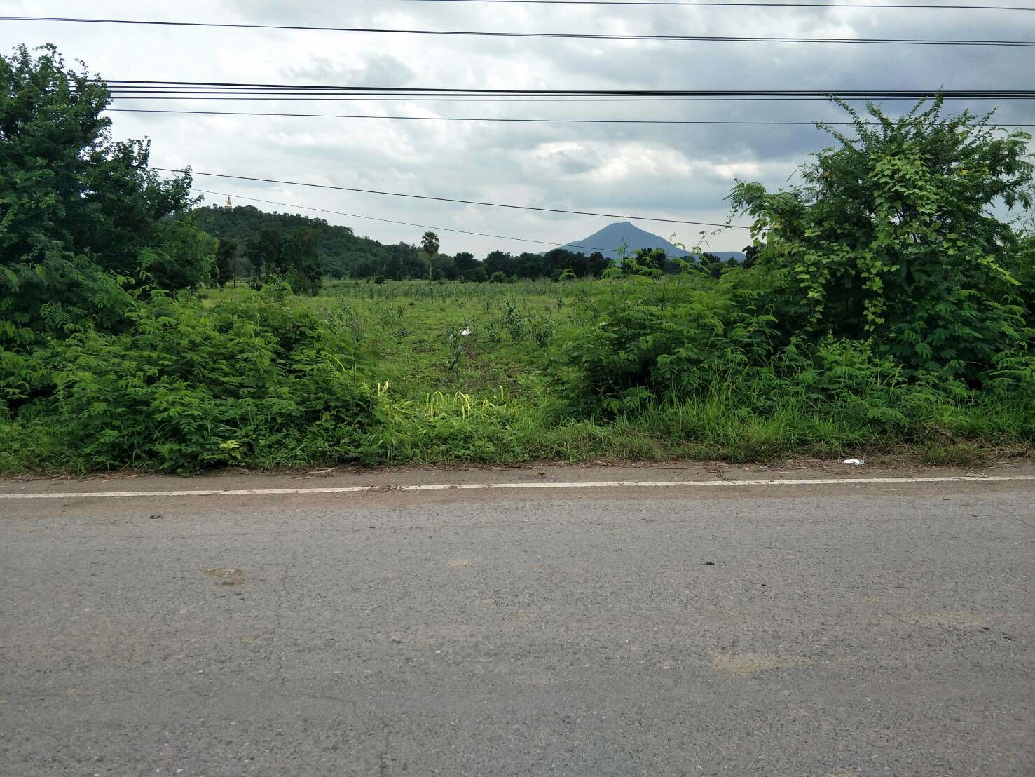 ขายที่ดิน-มีโฉนด-ติดถนนลาดยาง-จำนวน-16-2-20-ไร่-คลองเกตุ-โคกสำโรง-ลพบุรี