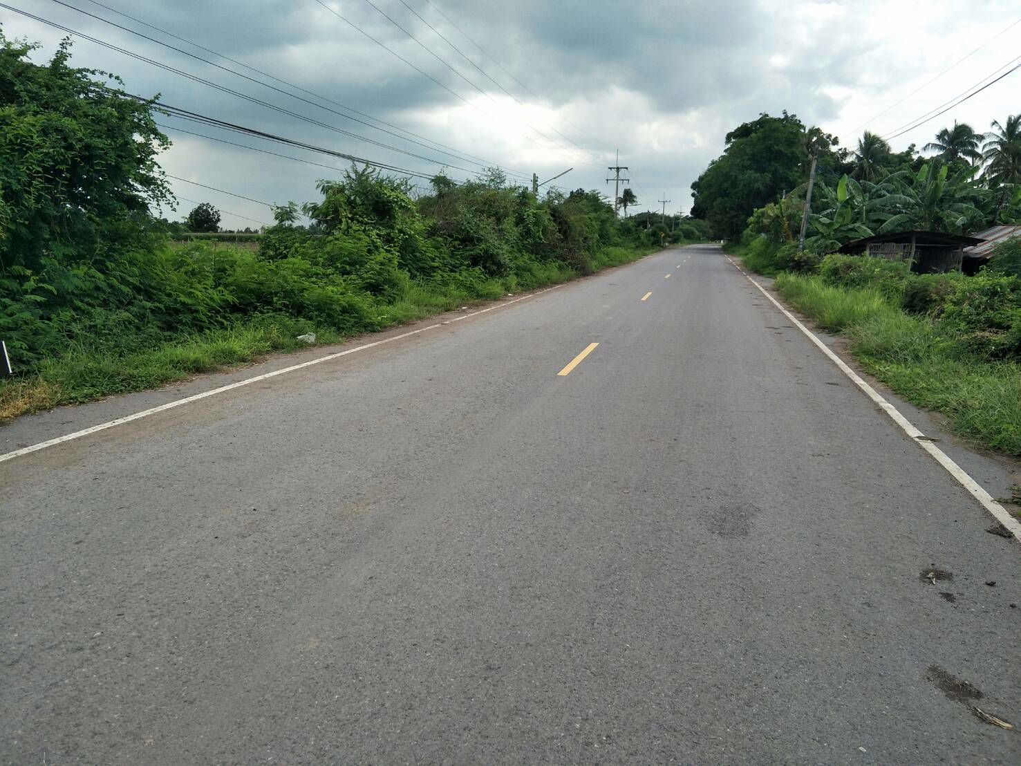 ขายที่ดิน-มีโฉนด-ติดถนนลาดยาง-จำนวน-16-2-20-ไร่-คลองเกตุ-โคกสำโรง-ลพบุรี