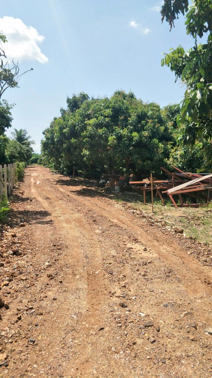 ขายที่ดิน-ส่วนลำไยแบ่งขาย-ที่ดินแปลง-2-3457-อยู่ในเขตชุมชนหมู่บ้านแคว-สารภี-เชียงใหม่