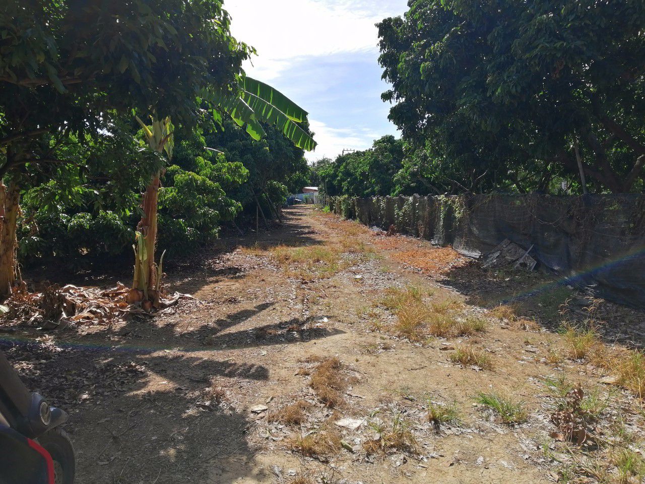 ขายที่ดิน-ส่วนลำไยแบ่งขาย-ที่ดินแปลง-2-3457-อยู่ในเขตชุมชนหมู่บ้านแคว-สารภี-เชียงใหม่