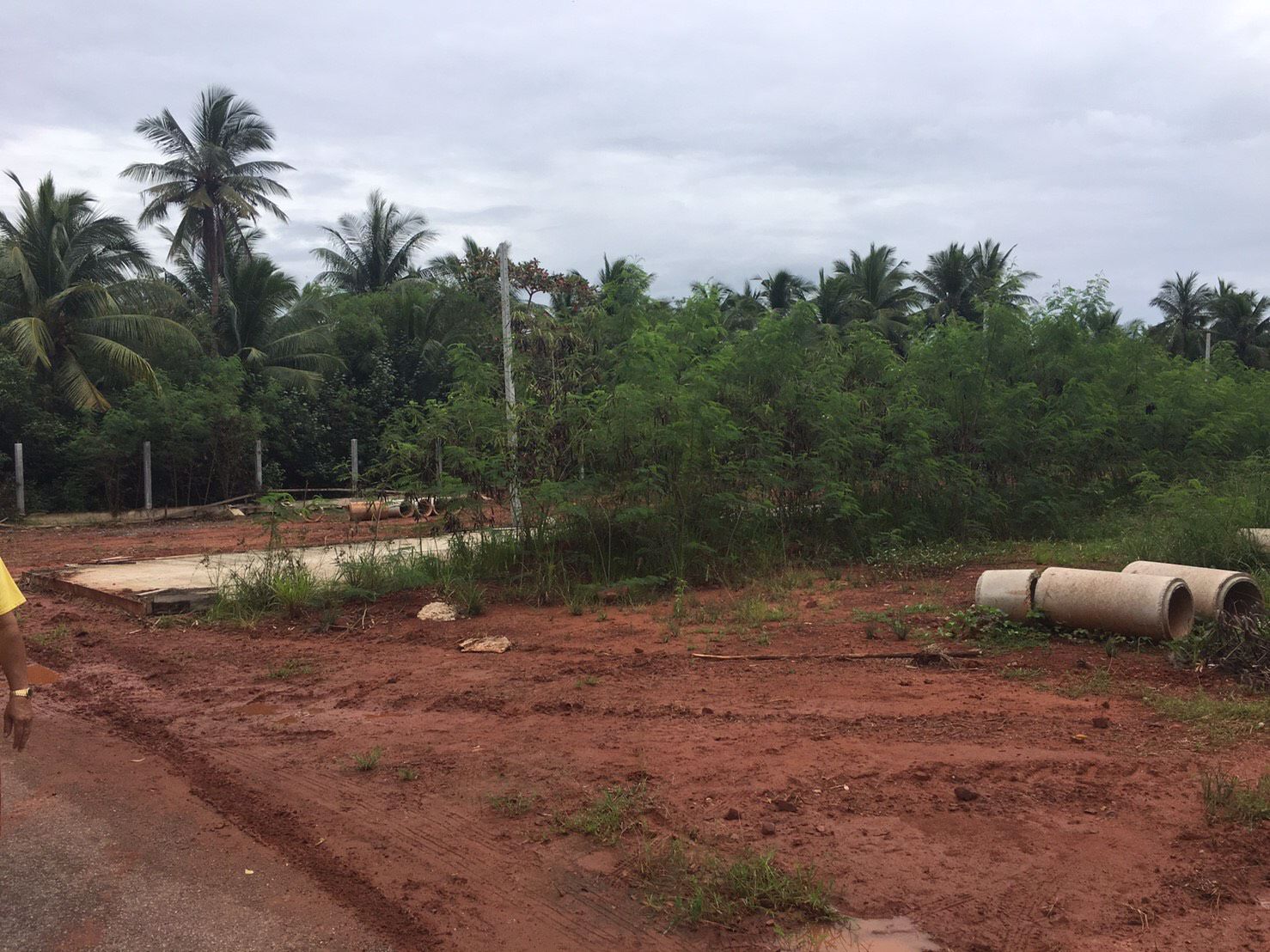 ที่ดินแบ่งขายหรือยกแปลง-2-ไร่-2-งาน-97-ตารางวา-แบ่งแปลงละ-362-ตารางวา-บ้านสวนอัมพวา-เมืองสมุทรสงครา