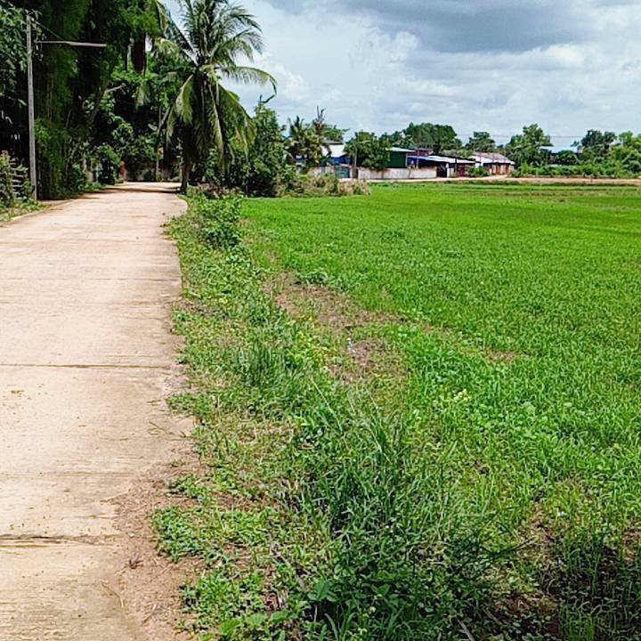 ขายที่ดินด่วน-เนื้อที่-21-ไร่-3-งาน-69-ตารางวา-ตสระแแก้ว-อเมืองสระแก้ว-จสระแก้ว