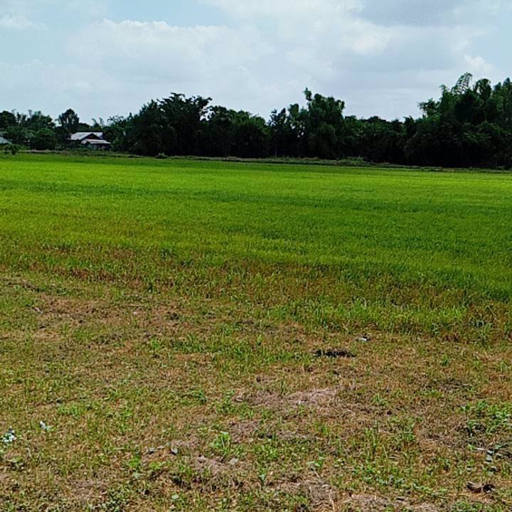 ขายที่ดินด่วน-เนื้อที่-21-ไร่-3-งาน-69-ตารางวา-ตสระแแก้ว-อเมืองสระแก้ว-จสระแก้ว