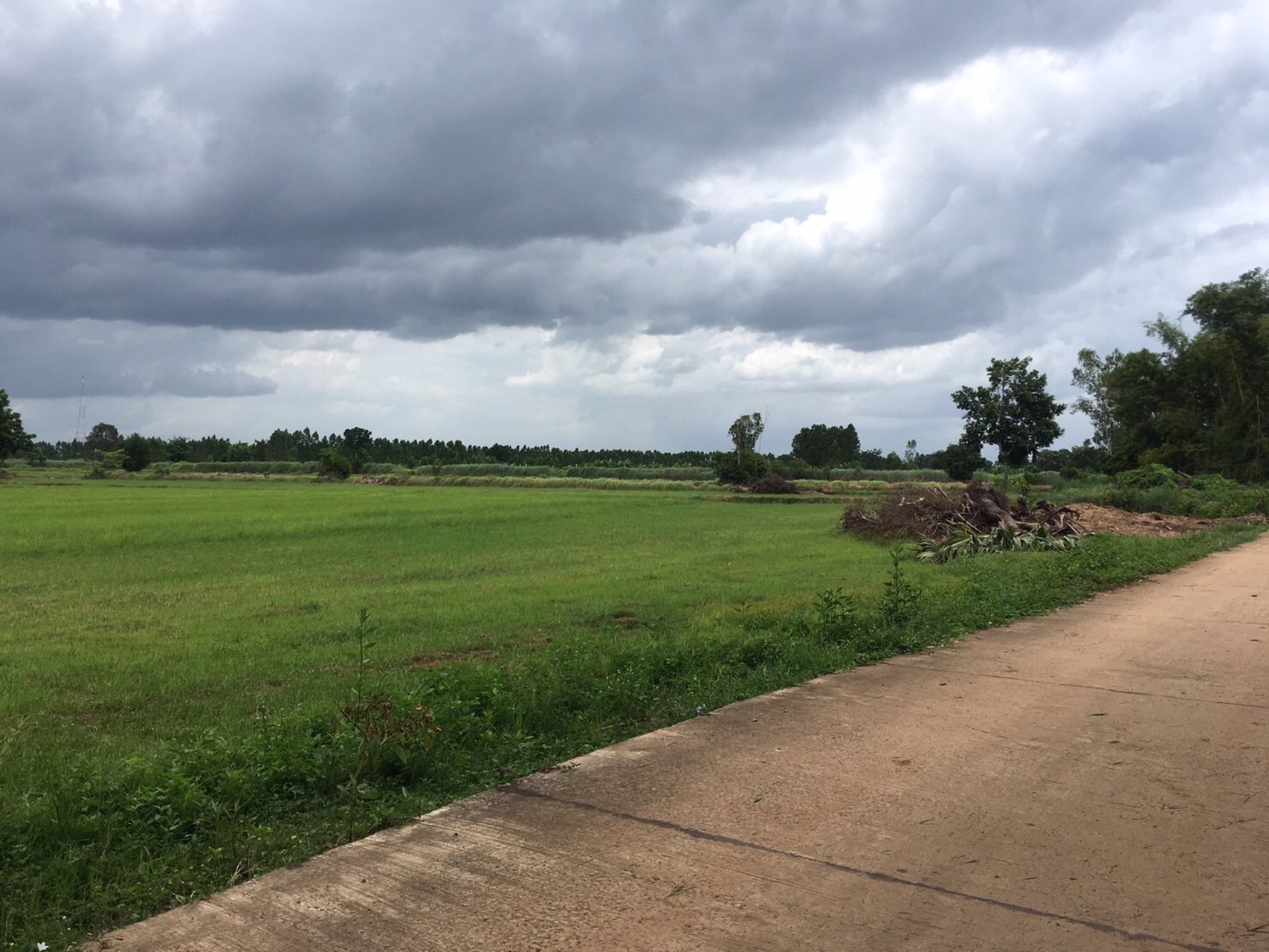 ขายที่ดินด่วน-เนื้อที่-21-ไร่-3-งาน-69-ตารางวา-ตสระแแก้ว-อเมืองสระแก้ว-จสระแก้ว