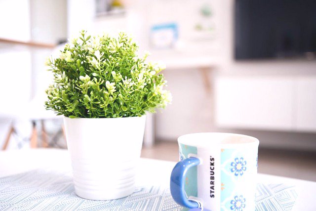 room-for-rent-regent-home-sukhumvit-97-1-ใกล้-bts-บางจาก-ประมาณ-900-เมตร