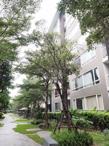 elements-srinakarin-อิลีเม้นท์-ศรีนครินทร์-ห้องสวย-เฟอร์ครบ-พร้อมอยู่-ตึก-2-ชั้นที่-1