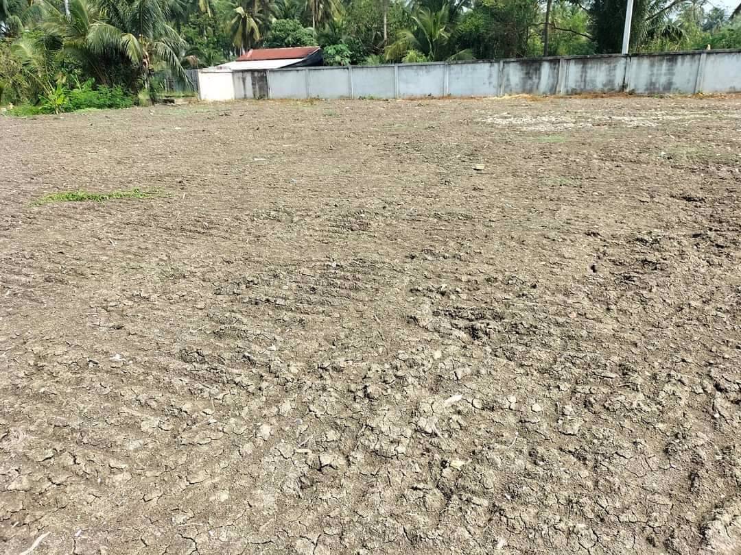 แบ่งขาย-ที่ดินจัดสรร-ถมแล้ว-อัมพวา-สมุทรสงคราม