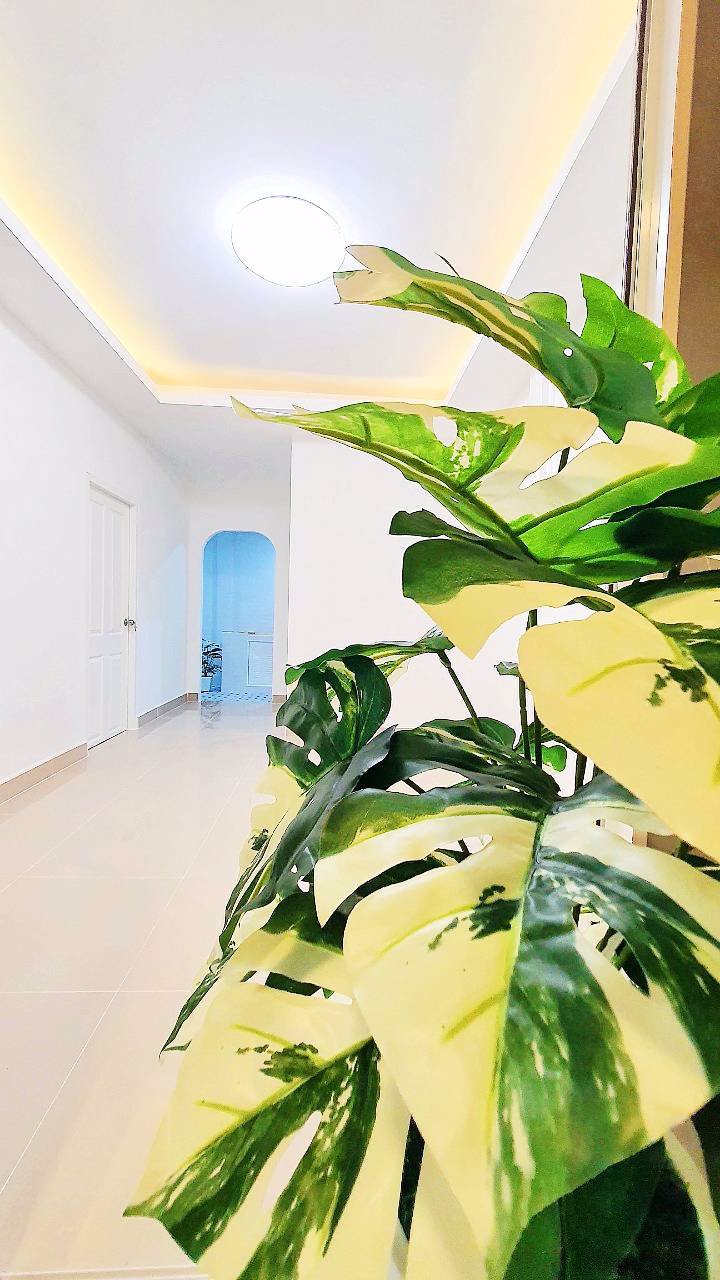 ขายบ้าน-หมู่บ้านเรือนสุข-2-ของดีของสวยมาอีกแล้วน้าาา