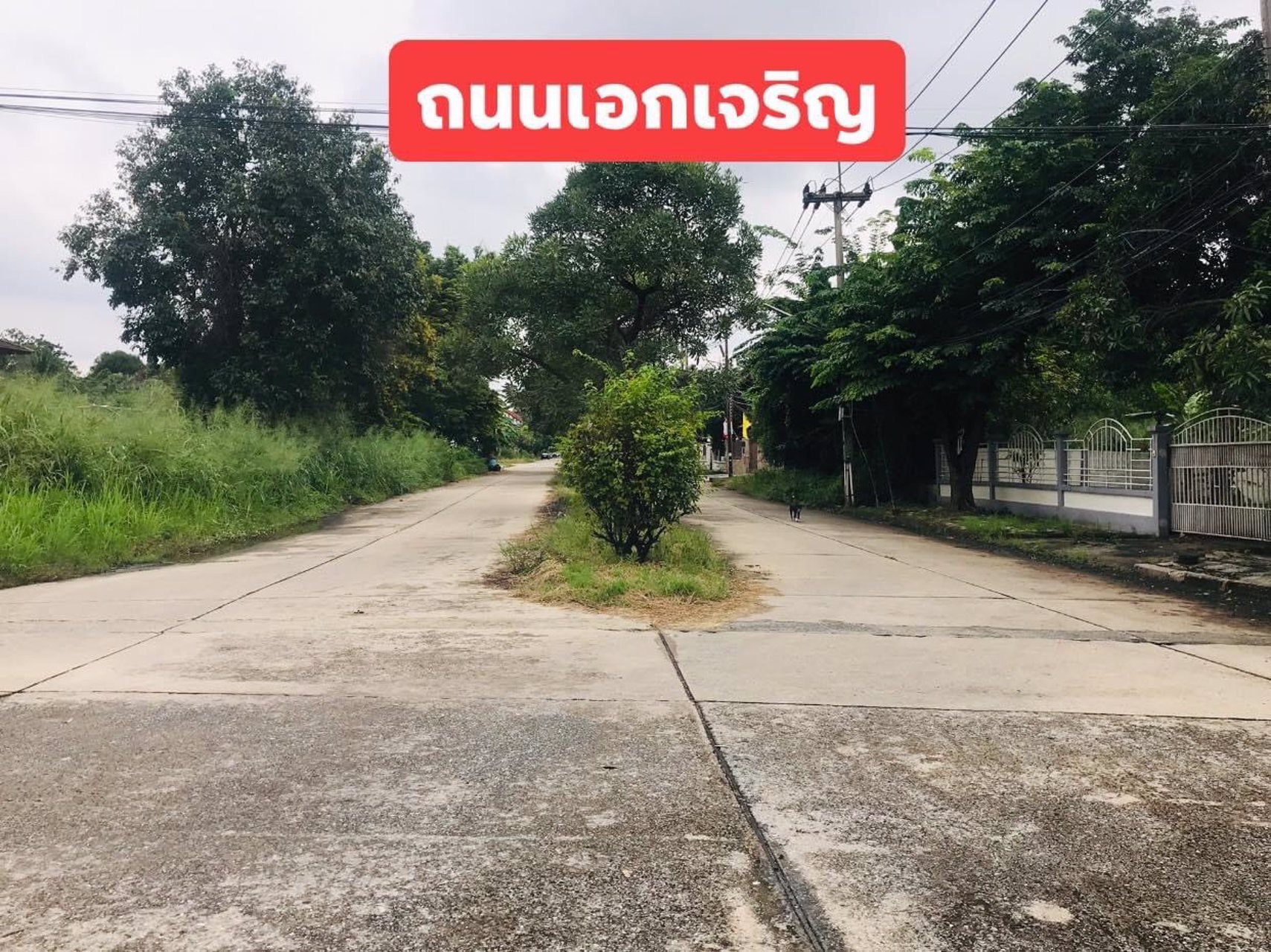 v-c-l00205-ที่ดินเปล่า-เมืองเอก-1-1-52-ไร่-ถเอกเจริญ-ตหลักหก-อเมือง-จปทุมธานี