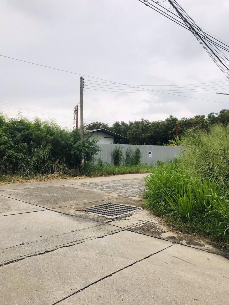 v-c-l00205-ที่ดินเปล่า-เมืองเอก-1-1-52-ไร่-ถเอกเจริญ-ตหลักหก-อเมือง-จปทุมธานี