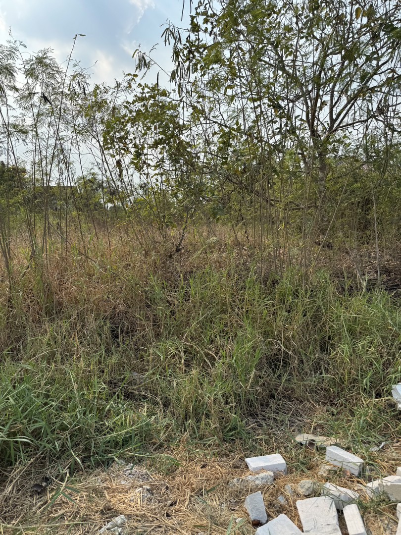 ขายที่ดินหมู่บ้านสมพงษ์-ศาลายา-คลองโยง