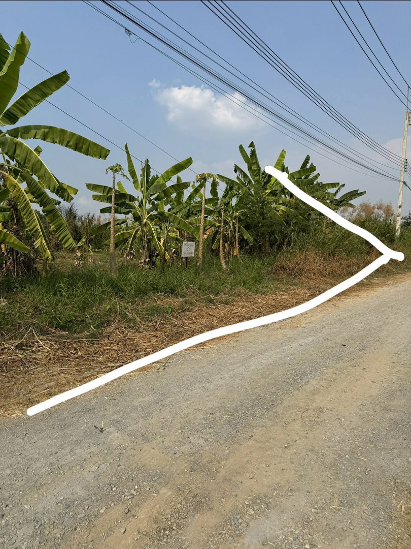 ขายที่ดินสวยหมู่บ้านสมพงษ์-ศาลายา-คลองโยง