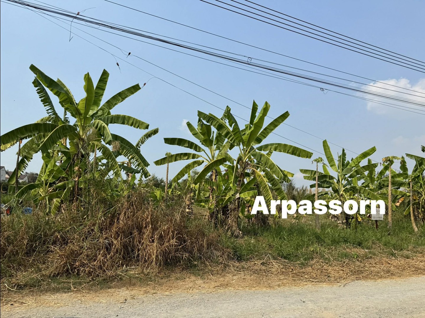 ขายที่ดินสวยหมู่บ้านสมพงษ์-ศาลายา-คลองโยง