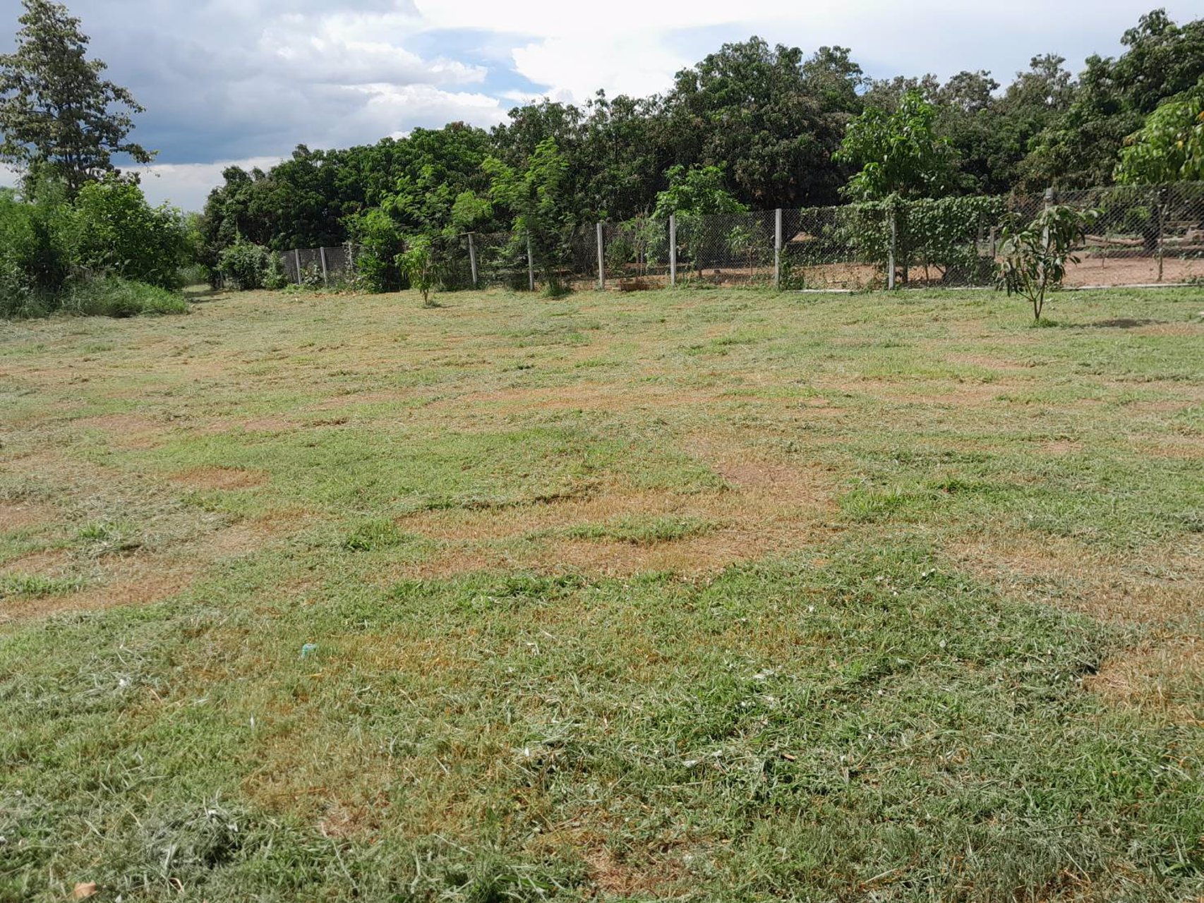 ขายบ้านเดี่ยว-2-หลังพร้อมที่ดิน-3-ไร่-80-ตารางวา