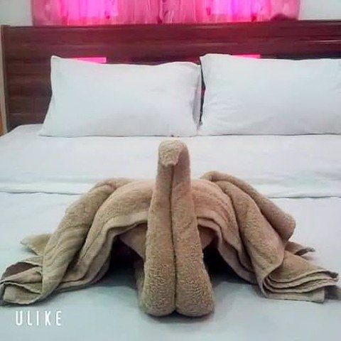 ขาย-อินดี้-รีสอร์ท-โคกสำโรง-ถนนสุรนารายณ์-ตำบลคลองเกตุ-อำเภอโคกสำโรง-จังหวัดลพบุรี