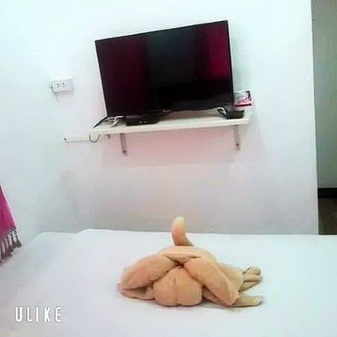 ขาย-อินดี้-รีสอร์ท-โคกสำโรง-ถนนสุรนารายณ์-ตำบลคลองเกตุ-อำเภอโคกสำโรง-จังหวัดลพบุรี