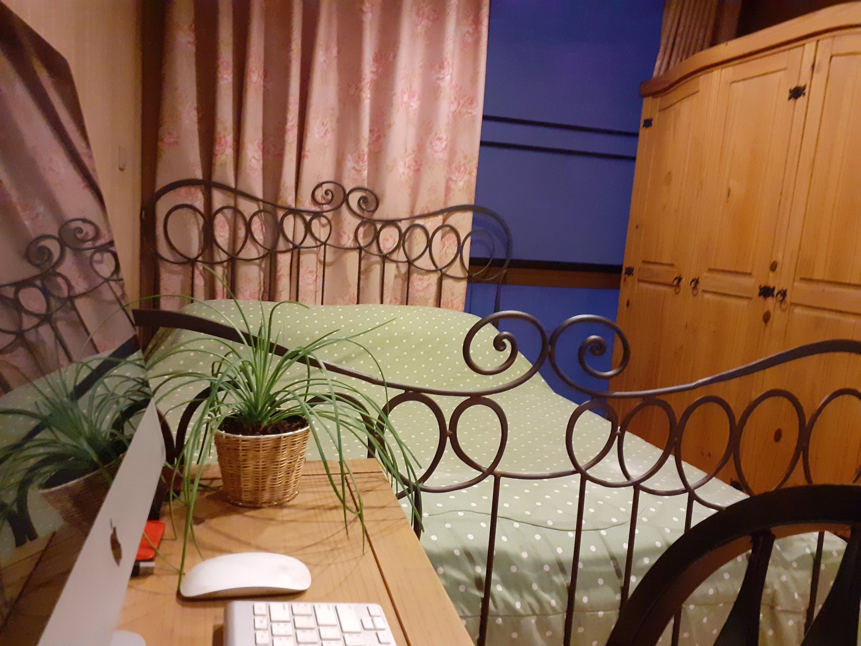 ขายคอนโดxvi-the-sixteenth-สุขุมวิท16-คลองเตย-ใกล้btsอโศก-mrtศูนย์สิริกิติ์-เพียง300เมตร