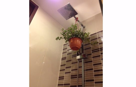 ขายคอนโดxvi-the-sixteenth-สุขุมวิท16-คลองเตย-ใกล้btsอโศก-mrtศูนย์สิริกิติ์-เพียง300เมตร