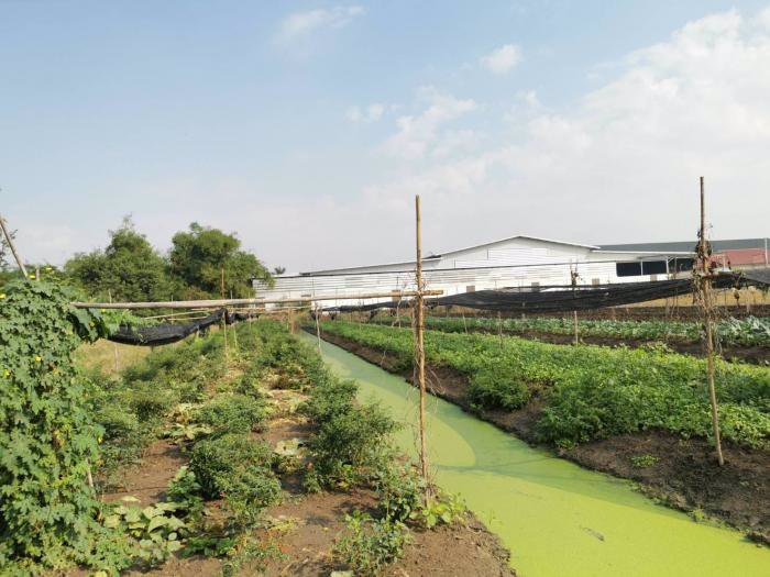 ขาย-ที่ดินเปล่า-ถมแล้วติดถนน-พื้นที่สีม่วง-ใกล้ถนนเศรษฐกิจ1-อกระทุ่มเเบน-จสมุทรสาคร