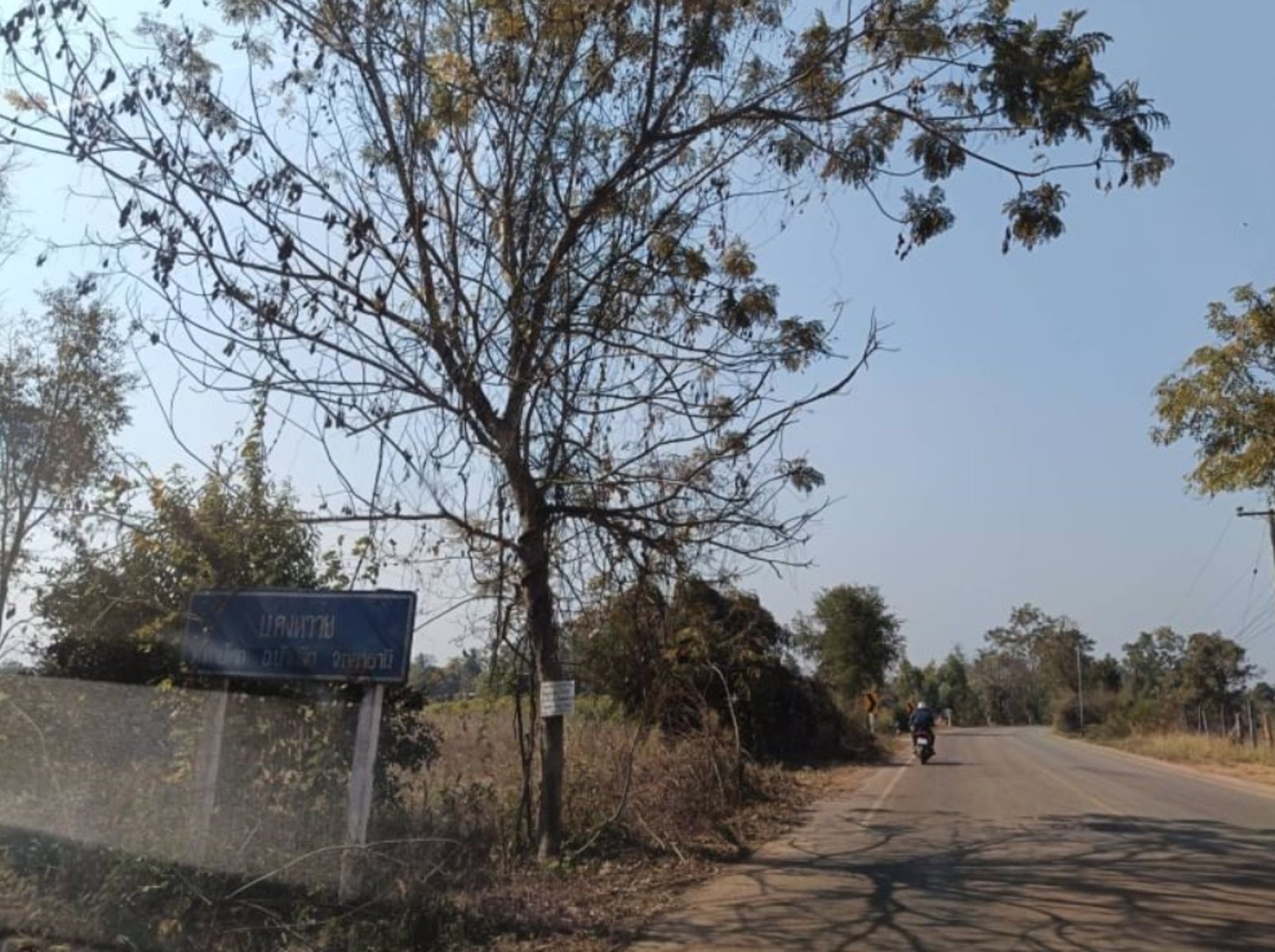 ขายที่ดิน-9ไร่-ราคาไร่ละ129000บาท-ติดถนน