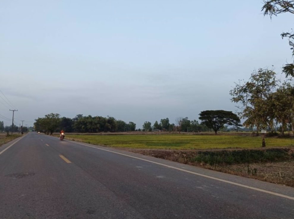 ขายที่นา-ติดลำห้วยสาธารณะทำนาได้-3รอบต่อปี