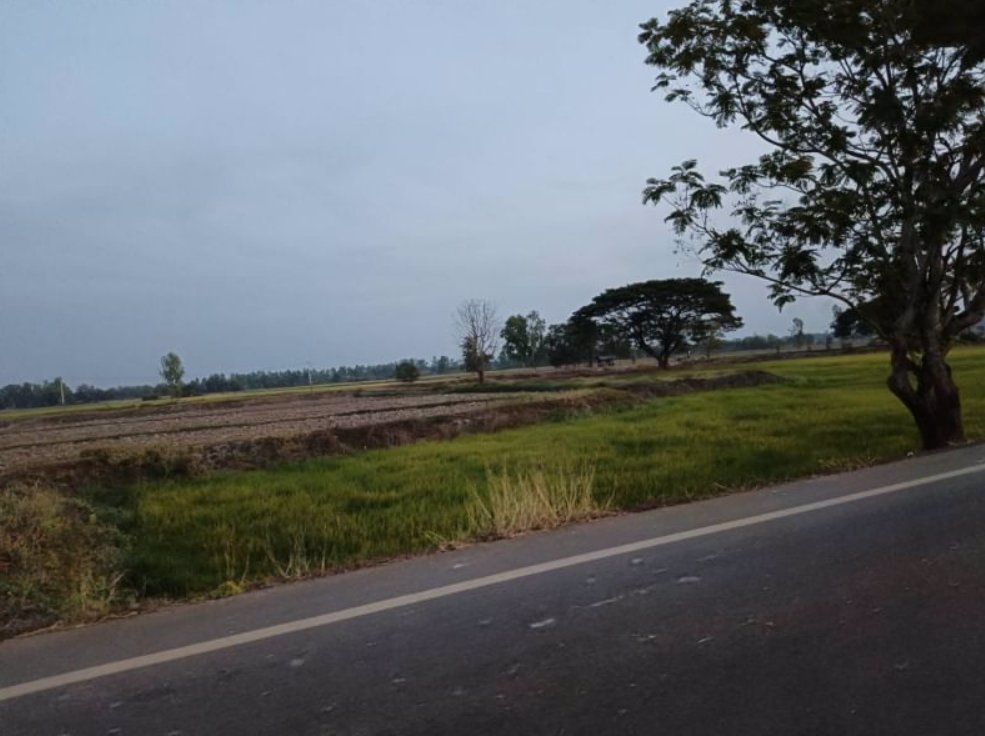 ขายที่นา-ติดลำห้วยสาธารณะทำนาได้-3รอบต่อปี