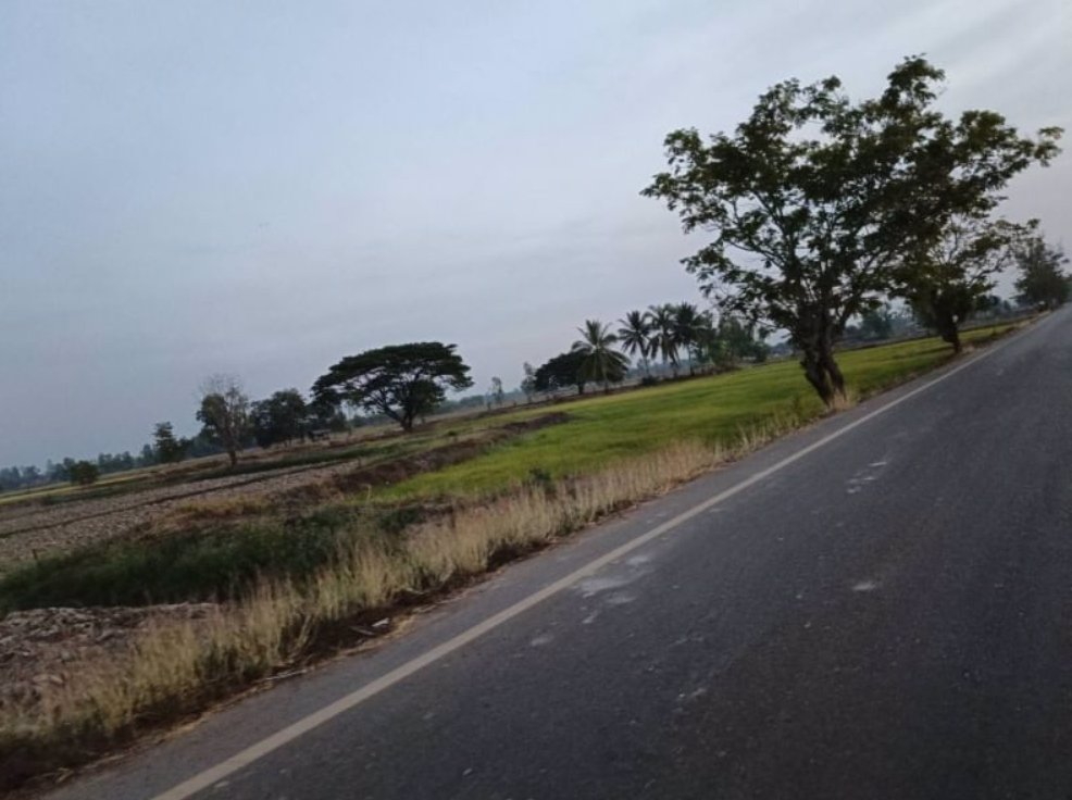 ขายที่นา-ติดลำห้วยสาธารณะทำนาได้-3รอบต่อปี