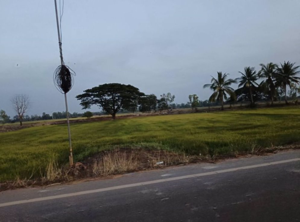 ขายที่นา-ติดลำห้วยสาธารณะทำนาได้-3รอบต่อปี