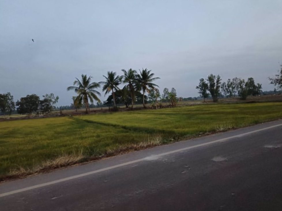 ขายที่นา-ติดลำห้วยสาธารณะทำนาได้-3รอบต่อปี