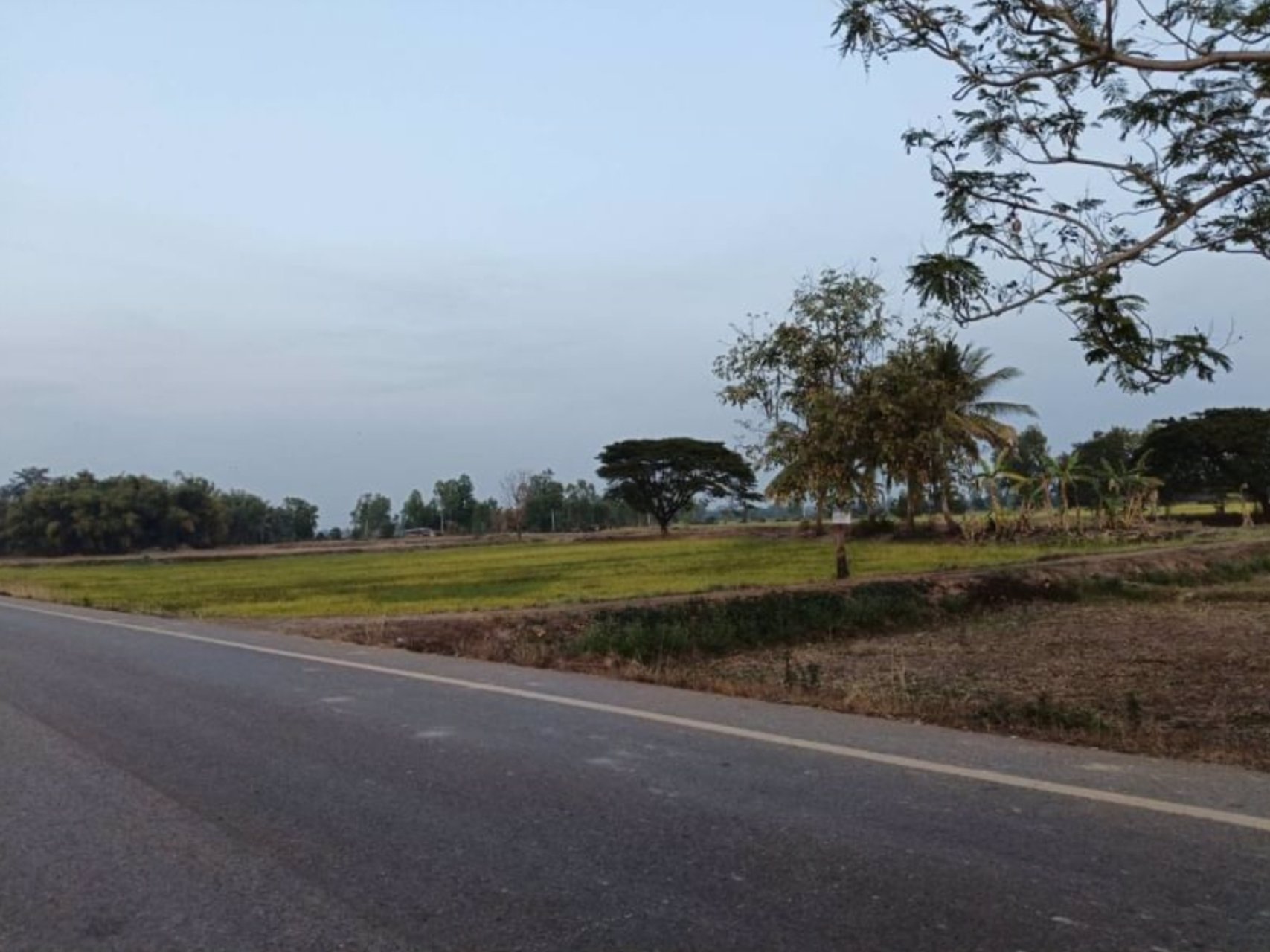 ขายที่นา-ติดลำห้วยสาธารณะทำนาได้-3รอบต่อปี